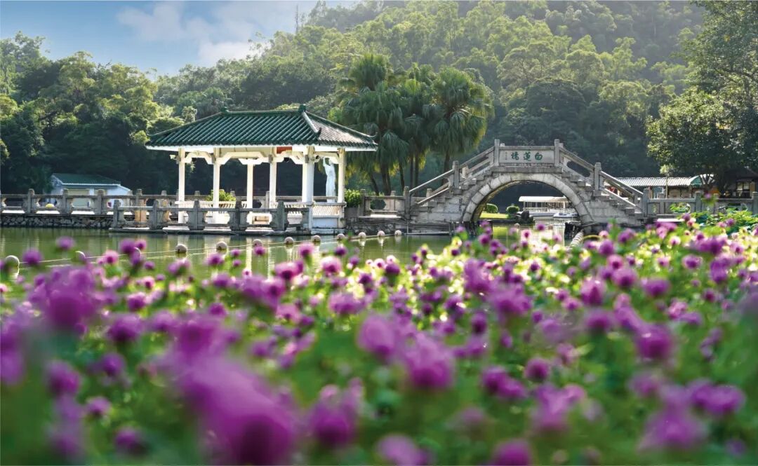 6.jpg 6.jpg